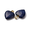 Dyed Natural Lapis Lazuli Pendants G-G287-01G-08-2