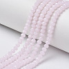 Glass Beads Strands EGLA-A034-J6mm-D02-1
