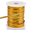 Sparkle Nylon Ribbon OCOR-GF0004-48B-07-6