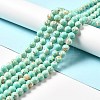 Synthetic Turquoise and Sea Shell Assembled Beads Strands X-G-D482-01A-08-1