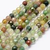 Natural Indian Agate Beads Strands G-K183-03-1
