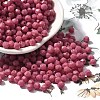 Baking Paint Glass Seed Beads X1-SEED-A032-02A-04-1