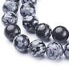 Natural Snowflake Obsidian Beads Strands GSR10mmC009-2