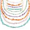 Natural Red Aventurine & Green Aventurine & Amethyst & Rose Quartz & Synthetic Turquoise Chips Beaded Necklaces NJEW-FS00013-1