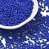Baking Paint Glass Seed Beads SEED-S001-01-1