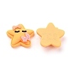 Resin Cabochons CRES-J043-05E-2