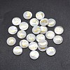 Shell Cabochons SSHEL-E568-A11-2