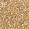 MIYUKI Delica Beads SEED-JP0008-DB0099-3