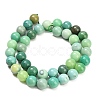 Natural Green Grass Agate Beads Strands GG-CBA007A-B03-10mm-4