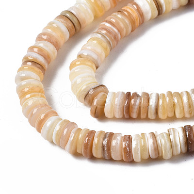 Natural Freshwater Shell Beads Strands SHEL-Q025-001-1