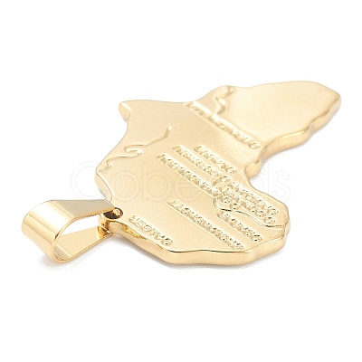 304 Stainless Steel Pendants STAS-J036-046A-G-1