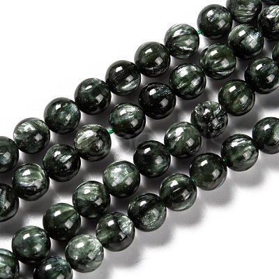 Natural Seraphinite Beads Strands G-E557-22D-1