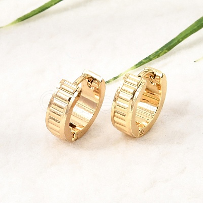 201 Stainless Steel Hoop Earrings SA-CBA4A0D-02G-1