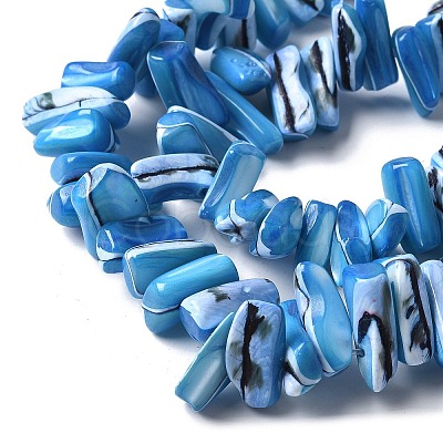 Dyed Natural Trochus Shell Beads Strands SSHEL-C013-09F-1