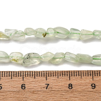 Natural Prehnite Beads Strands G-I389-A19-1