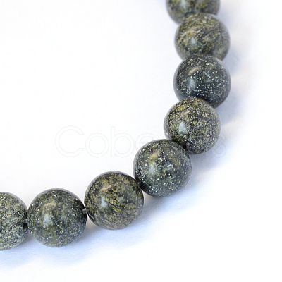 Natural Serpentine/Green Lace Stone Round Bead Strands G-E334-10mm-14-1