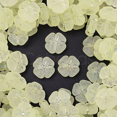 Frosted Transparent Acrylic Beads OACR-P029-19B-03-1