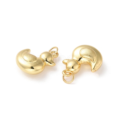 Rack Plating Brass Pendants X-KK-D074-28G-1