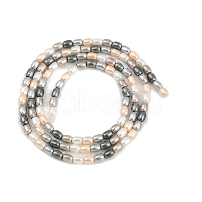 Electroplated Shell Pearl Beads Strands BSHE-H113-06A-03-1