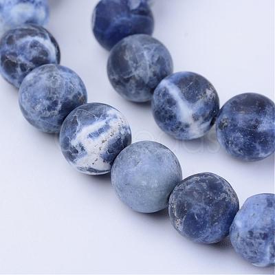 Natural Sodalite Beads Strands G-Q462-6mm-07-1