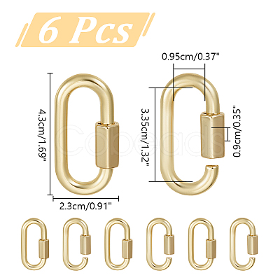 6Pcs Alloy Screw Carabiner Lock Charms FIND-UN0003-31LG-1