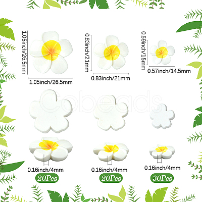 3 Styles Plastic Cabochons FIND-SC0019-49-1