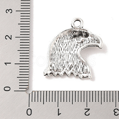 Tibetan Style Zinc Alloy Pendants LS-TIBEP-R334-020AS-RS-1