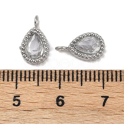 304 Stainless Steel Micro Pave Cubic Zirconia Charms STAS-K302-01C-P-1