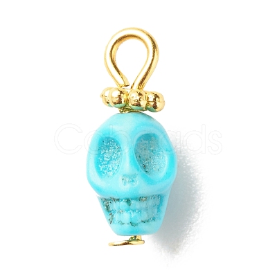 Dyed Synthetic Turquoise Charms PALLOY-JF01452-02-1
