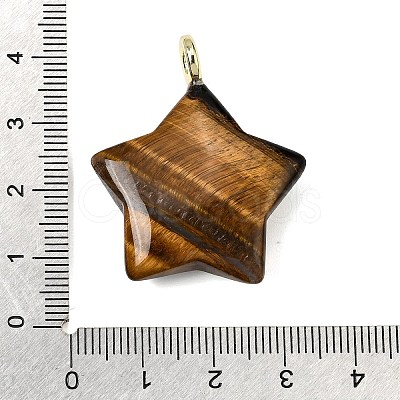 Natural Tiger Eye Pendants G-Z157-01G-10-1