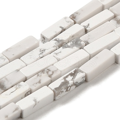 Synthetic Howlite Beads Strands G-K340-D06-01-1