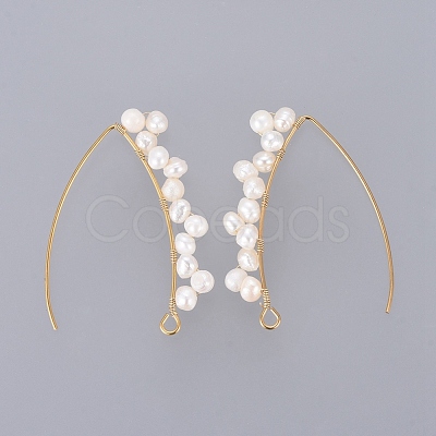 PVD Vacuum Plating 304 Stainless Steel Earring Hooks X-EJEW-JE03759-1