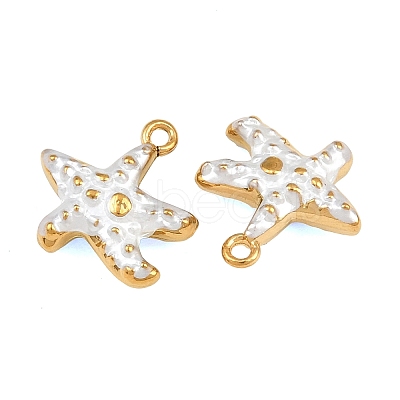 304 Stainless Steel Enamel Charms SA-CBAF5D5-17G-02-1