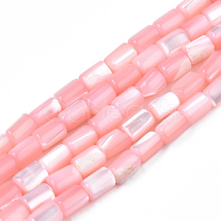 Natural Trochid Shell/Trochus Shell Beads Strands SHEL-N003-26-B05-1