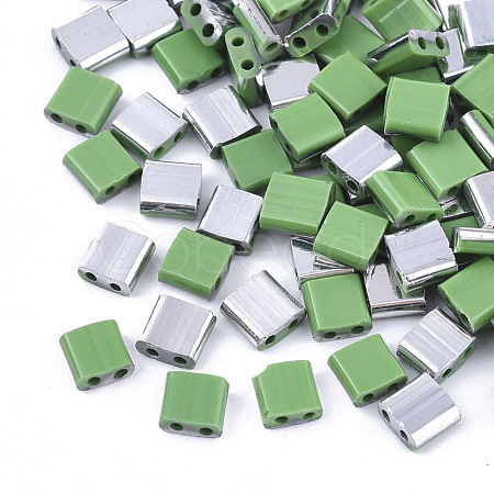 FGB 2-Hole Glass Seed Beads X-SEED-S031-L-047-K-1