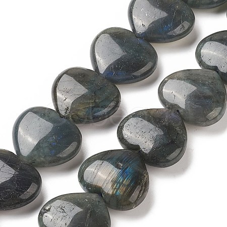 Natural Labradorite Beads Strands G-G996-B11-1