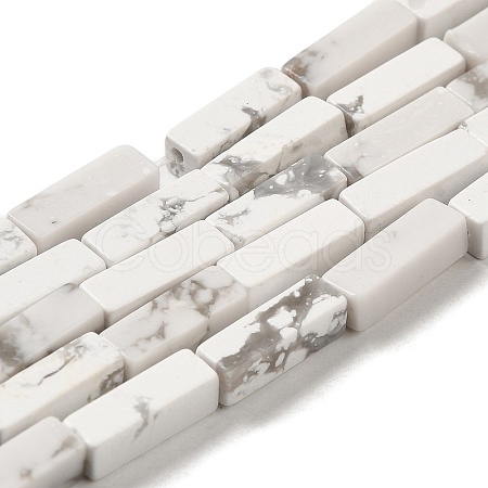 Synthetic Howlite Beads Strands G-K340-D06-01-1
