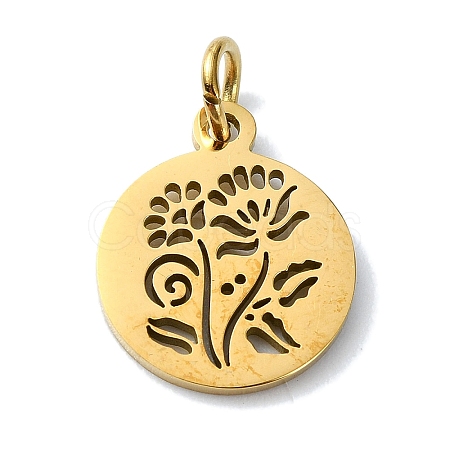 304 Stainless Steel Charms STAS-C097-46G-06-1