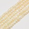 Grade AA Natural Cultured Freshwater Pearl Beads Strands, Two Sides Polished, Creamy White, 4~5mm, Hole: 0.7mm, about 90pcs/strand, 15.74 inch