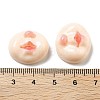 Opaque Resin Decoden Cabochons CRES-Z009-01A-3