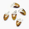 Natural Tiger Eye Pendants G-F584-H12-S-1