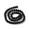 Natural Shungite Beads Strands G-D481-15A-3