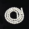 Natural White Shell Bead Strands SSHEL-N003-144D-01-2