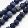 Natural Sodalite Beads Strands G-D682-10mm-1