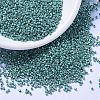 MIYUKI Delica Beads X-SEED-J020-DB1183-1