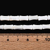 Natural Freshwater Shell Beads Strands SHEL-N038-02-4