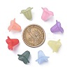 Mixed Color Transparent Acrylic Frosted Flower Beads X-PLF018-5