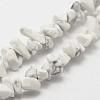 Natural Howlite Beads Strand G-F328-05-3
