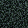 MIYUKI Round Rocailles Beads SEED-G007-RR0156F-3