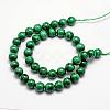 Natural Malachite Bead Strands G-O152-47-10mm-2